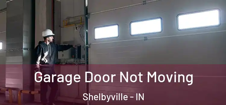  Garage Door Not Moving Shelbyville - IN
