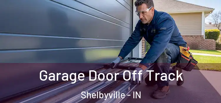  Garage Door Off Track Shelbyville - IN
