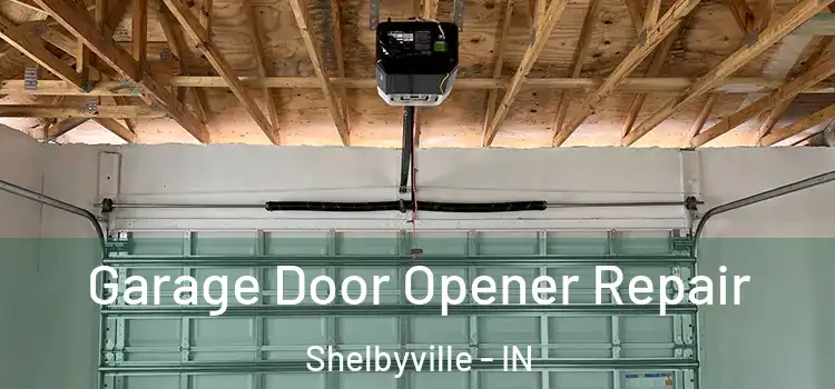  Garage Door Opener Repair Shelbyville - IN