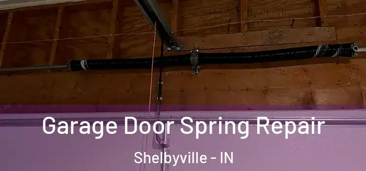  Garage Door Spring Repair Shelbyville - IN