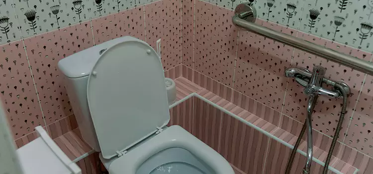 Meeting Diverse Needs With Accessible Restroom Solutions in Shelbyville, IN