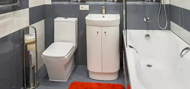 Hansgrohe Shaving Mirror Shelbyville